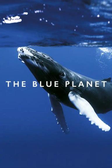 ლურჯი პლანეტა  / The Blue Planet ქართულად