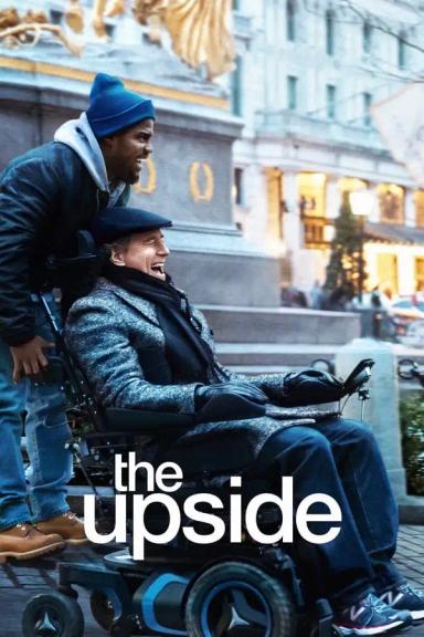 დადებითი მხარე  / The Upside ქართულად