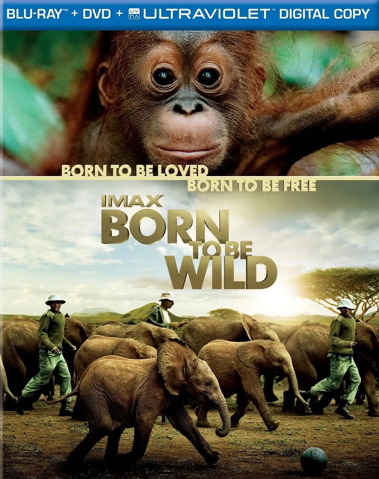 ველურებად დაბადებულნი  / Born to Be Wild ქართულად