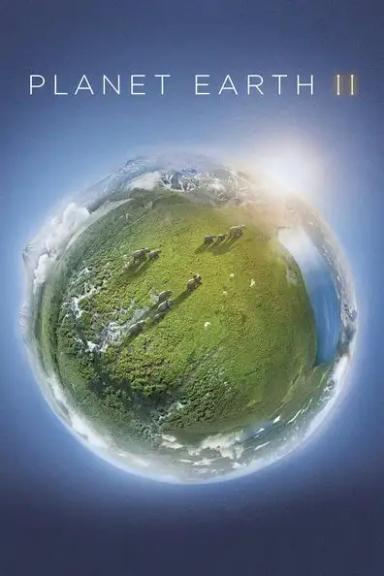 პლანეტა დედამიწა II  / Planet Earth II ქართულად