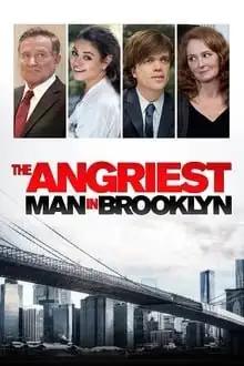 ყველაზე ბრაზიანი კაცი ბრუკლინში  / The Angriest Man in Brooklyn ქართულად