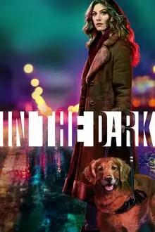 სიბნელეში სეზონი 2  / In the Dark Season 2 ქართულად