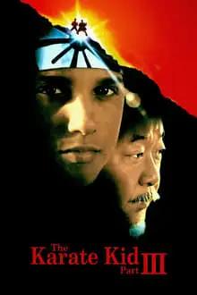 კარატისტი ბიჭუნა 3  / The Karate Kid Part III ქართულად