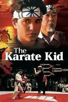 კარატისტი ბიჭუნა  / The Karate Kid ქართულად