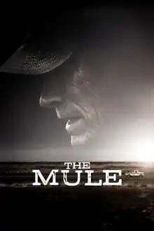 ნარკოკურიერი  / The Mule ქართულად