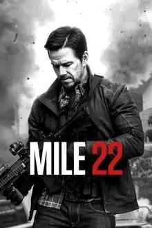 22 მილი: წითელი ზონა  / Mile 22 ქართულად