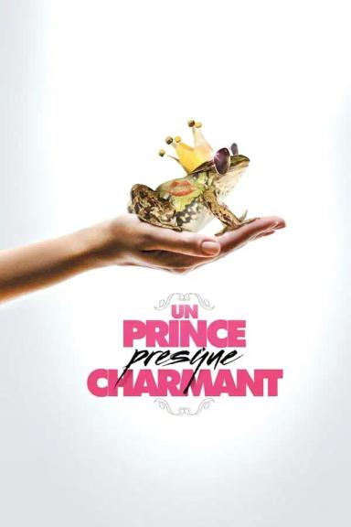 მოულოდნელი უფლისწული  / Un prince (presque) charmant ქართულად