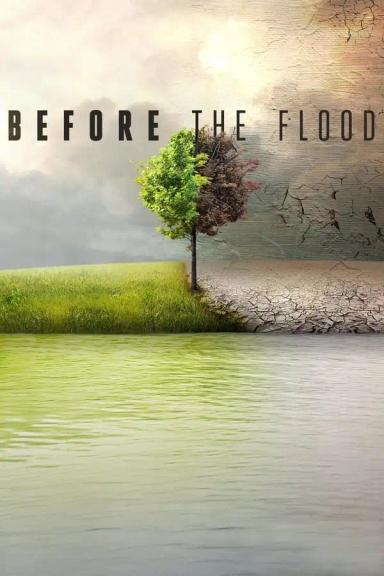 წყალდიდობამდე  / Before the Flood ქართულად